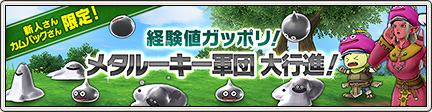 新人さんカムバックさん限定 メタルーキー軍団 大行進 19 10 目覚めし冒険者の広場