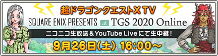 超ドラゴンクエストx Tv Tgs 出張版スペシャル 9 25更新 目覚めし冒険者の広場