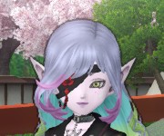 しゅうと