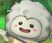 わちゃちゃ