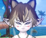 コハク