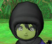 のの