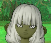 びゃっこ
