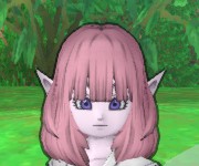 きい