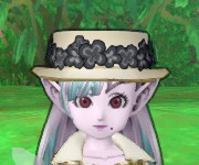 ざどきえる