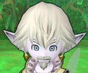 フェルナー