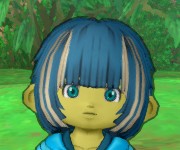 ヒビキ