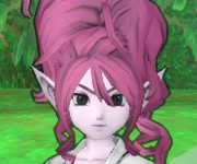 チマ