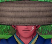 こうほ