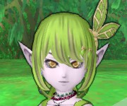 ケヤキ
