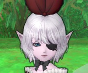 スミレ