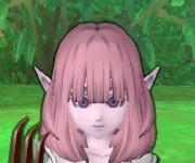 ハル