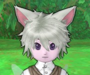 アミル