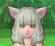 ひよこ