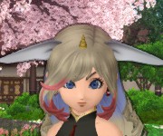 こはく