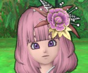 サクラロッテ