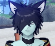 ぼんじり