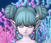 あおいやっこのtop 目覚めし冒険者の広場