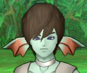 かい