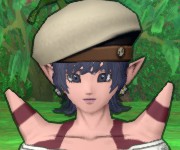ハルモニア