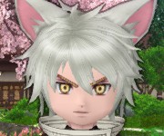 ゆ