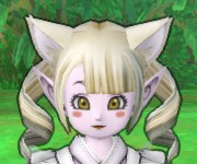 トルテ